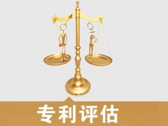 專利的價(jià)值評(píng)估，新手賣家必看