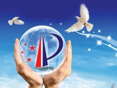 國家知識(shí)產(chǎn)權(quán)戰(zhàn)略實(shí)施十年成效顯著